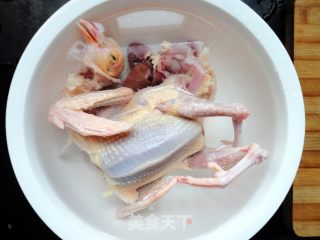 红枣枸杞鸽子汤的做法步骤：2
