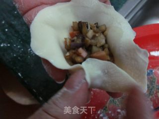 茄香洋葱手工饺的做法步骤：13