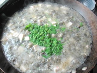 积味轩 -海蛎豆腐汤的做法步骤：3