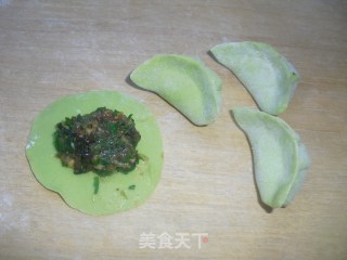 荠菜猪肉饺的做法步骤：6
