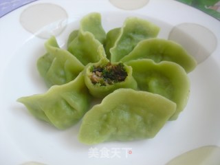 荠菜猪肉饺的做法步骤：7