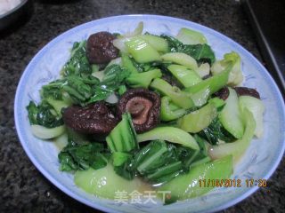 青菜炒香菇的做法步骤：6