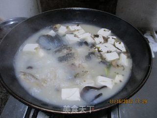 豆腐鱼汤的做法步骤：4
