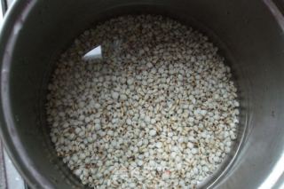 薏米红豆粥的做法步骤：4