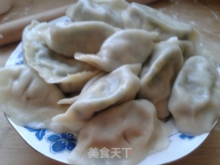 鲜美多汁——韭菜鸡蛋虾皮饺子的做法步骤：8