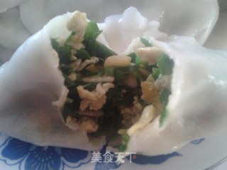 鲜美多汁——韭菜鸡蛋虾皮饺子的做法步骤：9