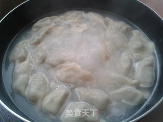 野菜飘香——荠菜鲜肉饺子的做法步骤：5