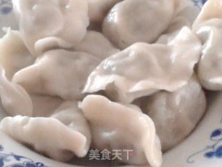 野菜飘香——荠菜鲜肉饺子的做法步骤：6