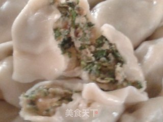 野菜飘香——荠菜鲜肉饺子的做法步骤：7
