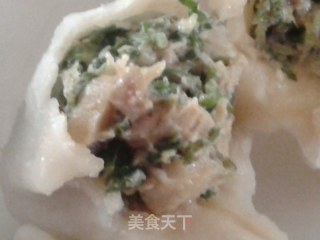 野菜飘香——荠菜鲜肉饺子的做法步骤：8