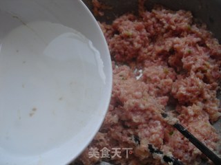 嫩肉丸的做法步骤：4