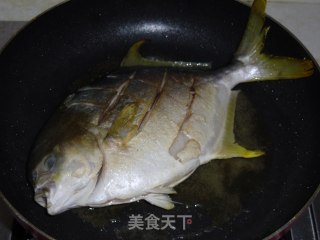 豆豉黄鲳鱼的做法步骤：3