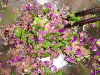 紫甘蓝香菜水晶饺的做法步骤：2