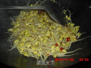 黄豆芽炖粉条【麻辣版】的做法步骤：7
