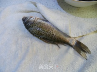 砂锅鲫鱼汤的做法步骤：2