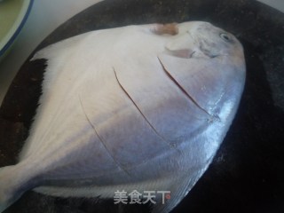 红烧平鱼的做法步骤：5