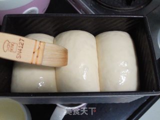 奶油吐司的做法步骤：5