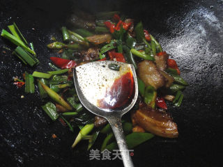 麻辣-----豉香回锅肉的做法步骤：14
