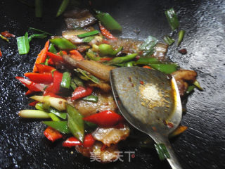 麻辣-----豉香回锅肉的做法步骤：15