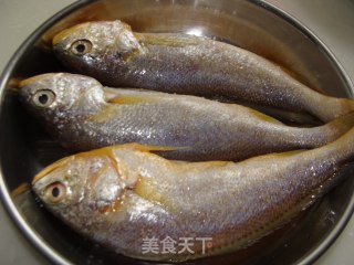 鼓油水小黄鱼的做法步骤：2