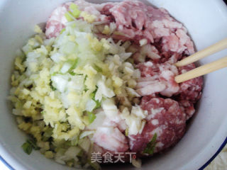 方便又好吃的【炸猪肉丸子】的做法步骤：1