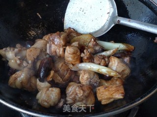 【香菇炖鸡】味道鲜美的下饭菜的做法步骤：8