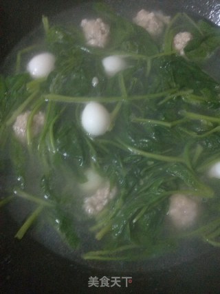 肉丸菠菜汤的做法步骤：5