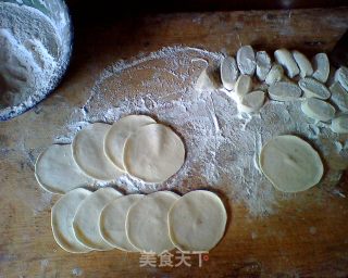茴香肉饺子两吃，煮或做锅贴的做法步骤：4