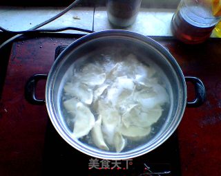 茴香肉饺子两吃，煮或做锅贴的做法步骤：6
