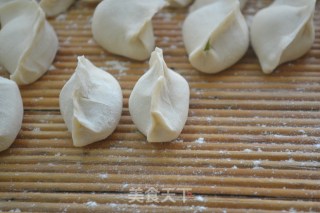 家传的【牛肉水饺】（28图超详解拌馅儿，两种包法）的做法步骤：21