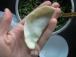 韭菜猪肉水饺的做法步骤：9