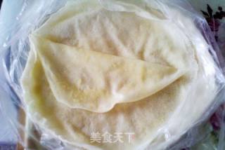 香香脆脆——春卷的做法步骤：6