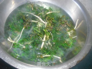 菜肉包的做法步骤：3