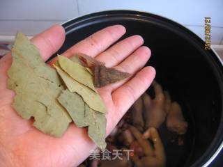 花生炖鸡爪的做法步骤：10