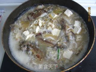 鲫鱼炖豆腐的做法步骤：7