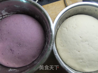 紫薯银丝卷的做法步骤：6