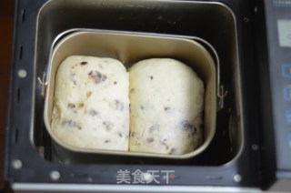 能下腰的土司---汤种蜜豆土司（面包机版）的做法步骤：14