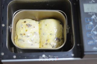 能下腰的土司---汤种蜜豆土司（面包机版）的做法步骤：15
