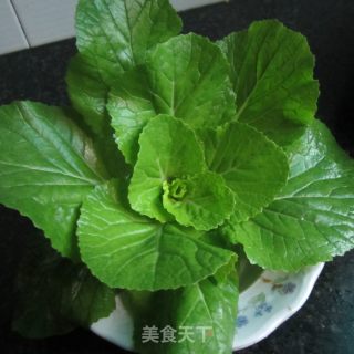 醋白菜苗的做法步骤：1