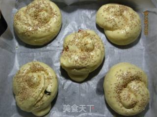 海苔火腿面包的做法步骤：14