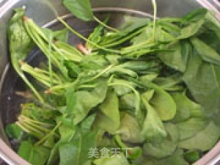 茶树菇炒菠菜的做法步骤：3