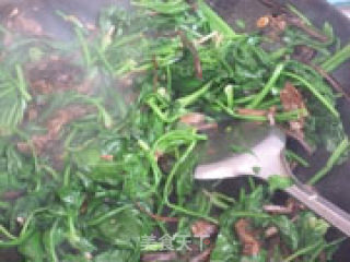 茶树菇炒菠菜的做法步骤：9