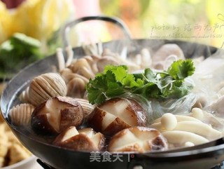 杂菌荟火锅的做法步骤：13