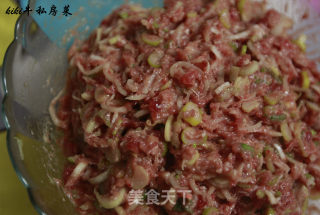 kiki牛的私房菜4-猪肉大葱馅饼的做法步骤：5