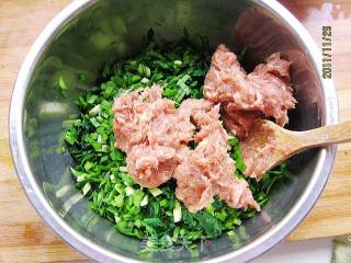 菠菜贝丁鲜肉生煎包的做法步骤：3