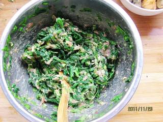 菠菜贝丁鲜肉生煎包的做法步骤：4