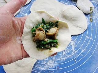 菠菜贝丁鲜肉生煎包的做法步骤：5
