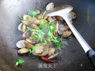 沙茶酱炒花蛤的做法步骤：7