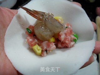 水晶虾仁烧卖的做法步骤：13