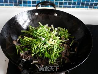 芫爆毛肚的做法步骤：5